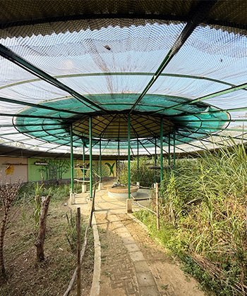 round-aviary-attractions